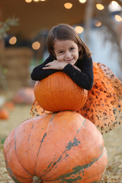 autumn adventures with vegums pumpkin family pumpkin patch